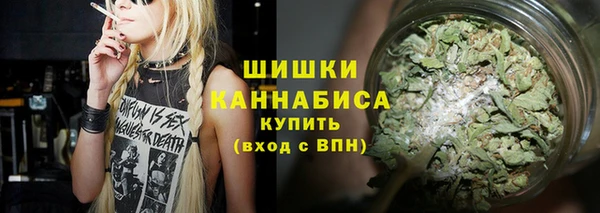 шишки Алексин