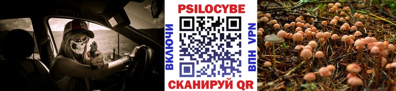 Галлюциногенные грибы мицелий  Алексин 